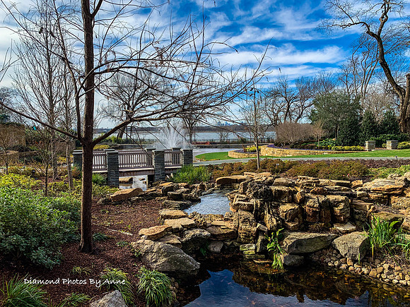 Dallas Arboretum