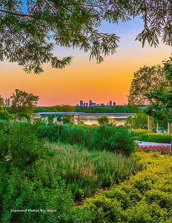 Dallas Arboretum